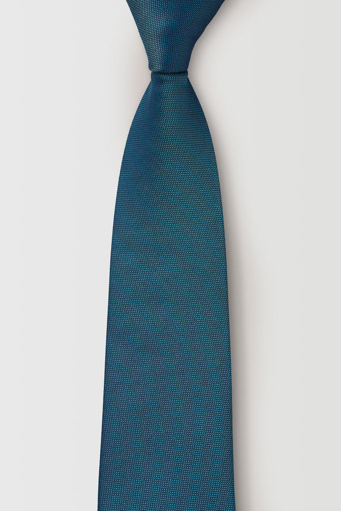 PGAP000001_BLU_1_rfleam_1731283741